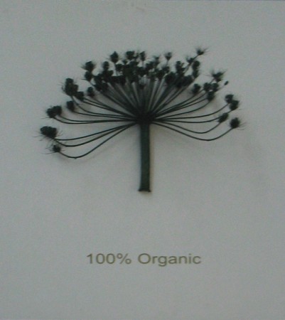 Stjerneskib100 org 600 Stjerneskib100 org 600