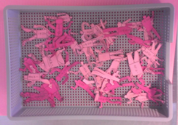 Tidslinje Pink 800 Tidslinje Pink 800