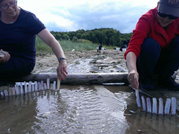 Jun 14 800 Jun 14 800